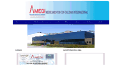 Desktop Screenshot of amegi.com.mx
