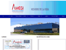 Tablet Screenshot of amegi.com.mx